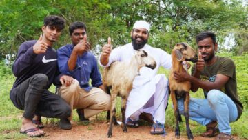 Private: [ID: wHN2N91P3Zw] Youtube Automatic