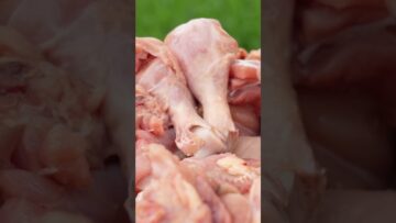 [ID: U4A1J4IC1j4] Youtube Automatic