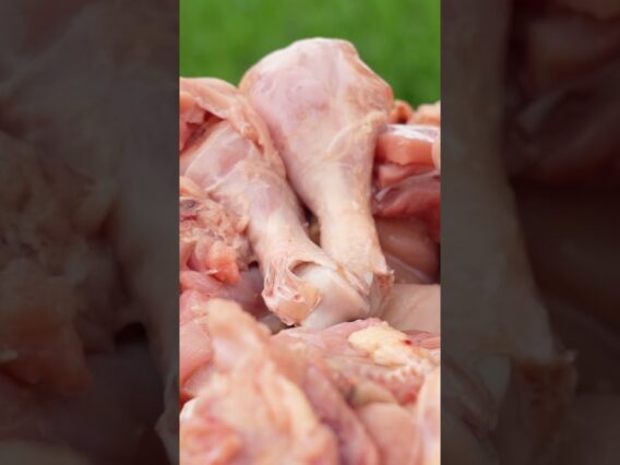 [ID: U4A1J4IC1j4] Youtube Automatic