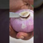 [ID: ZskU5wjjDRc] Youtube Automatic
