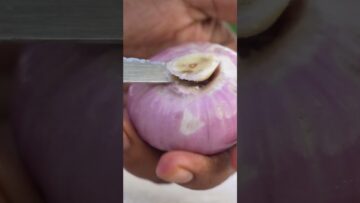 [ID: ZskU5wjjDRc] Youtube Automatic